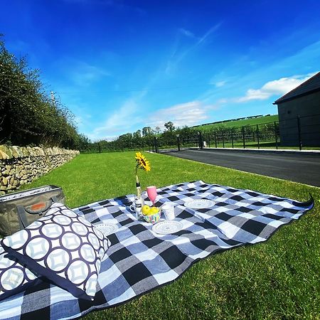 The Gate Lodge At Dunnanew - 4 Star- Sleeps 5 Seaforde 외부 사진